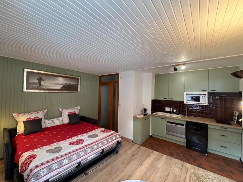 Studio Dent Du Caiman, Chamonix Hyper Centre, Parking, Vue Mont Blanc Exterior photo